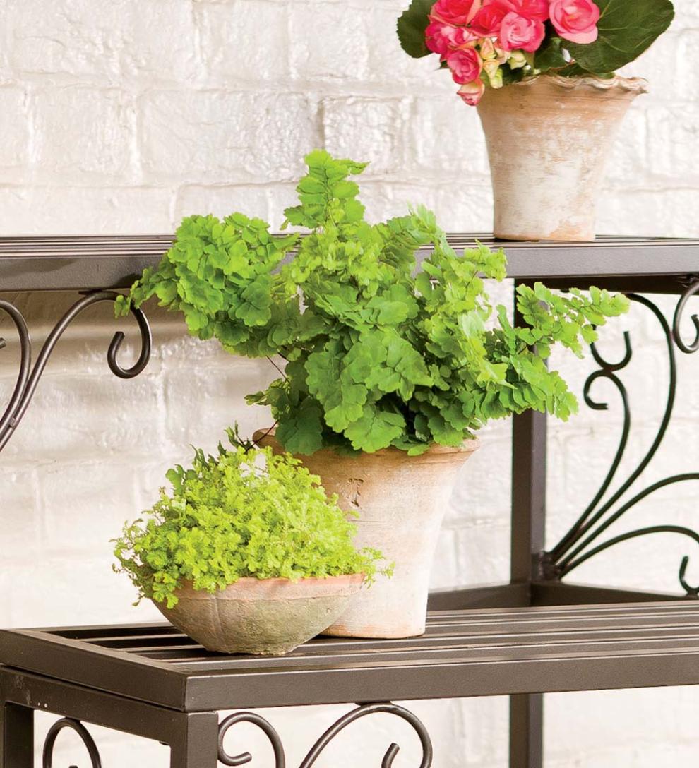 Plow &amp; Hearth Deck Planters | Outdoor Living Nesting Metal Plant Stands With Scrollwork, Set Of Three