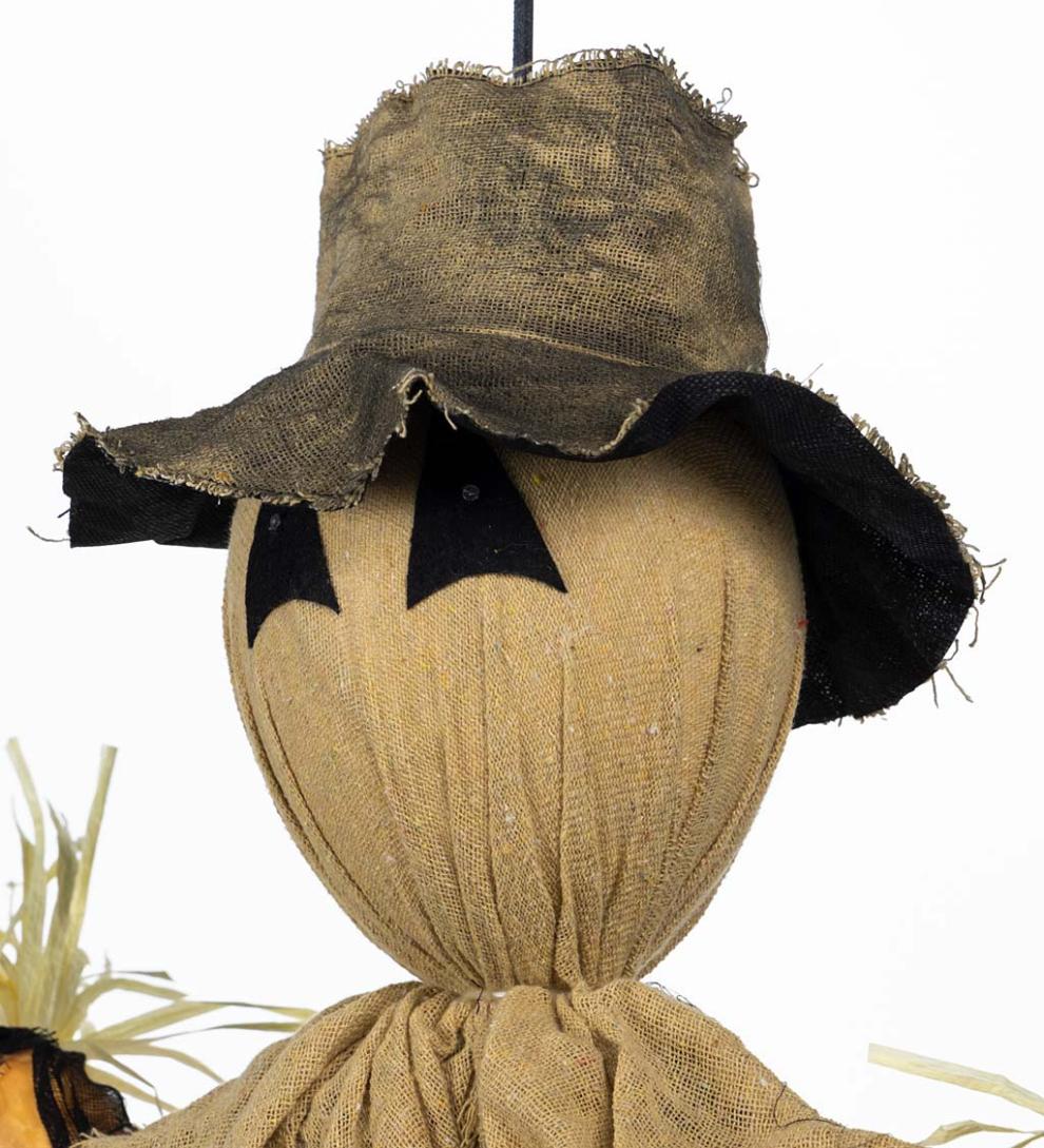 Plow &amp; Hearth Decorative Garden Accents | Yard &amp; Garden Spooky Scarecrow With Color-Changing Lights