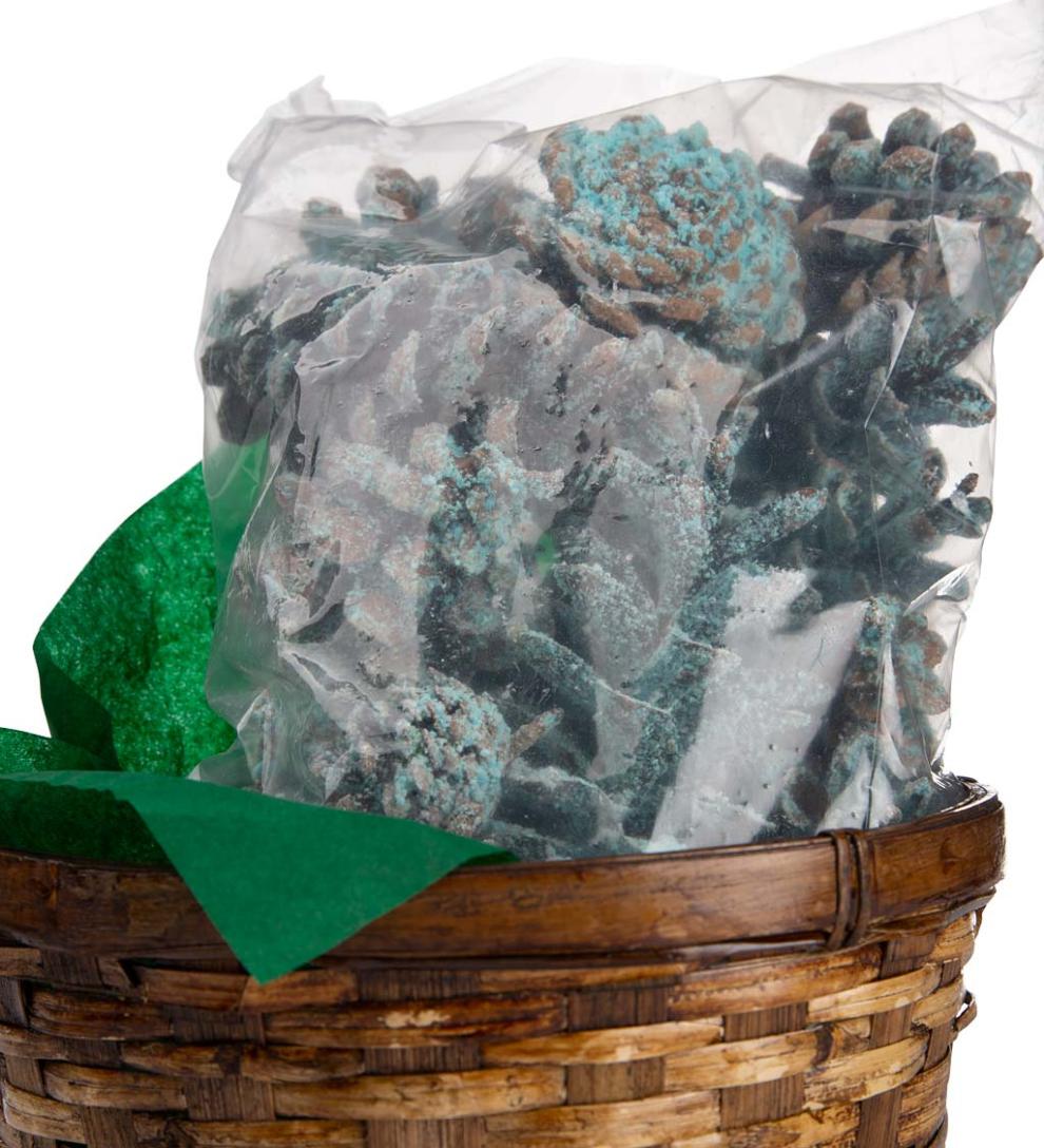 Plow &amp; Hearth Fire Starters &amp; Fatwood | Fireplace &amp; Hearth Color-Changing Fireplace Color Cones