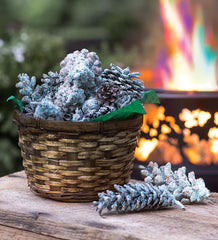 Plow &amp; Hearth Fire Starters &amp; Fatwood | Fireplace &amp; Hearth Color-Changing Fireplace Color Cones