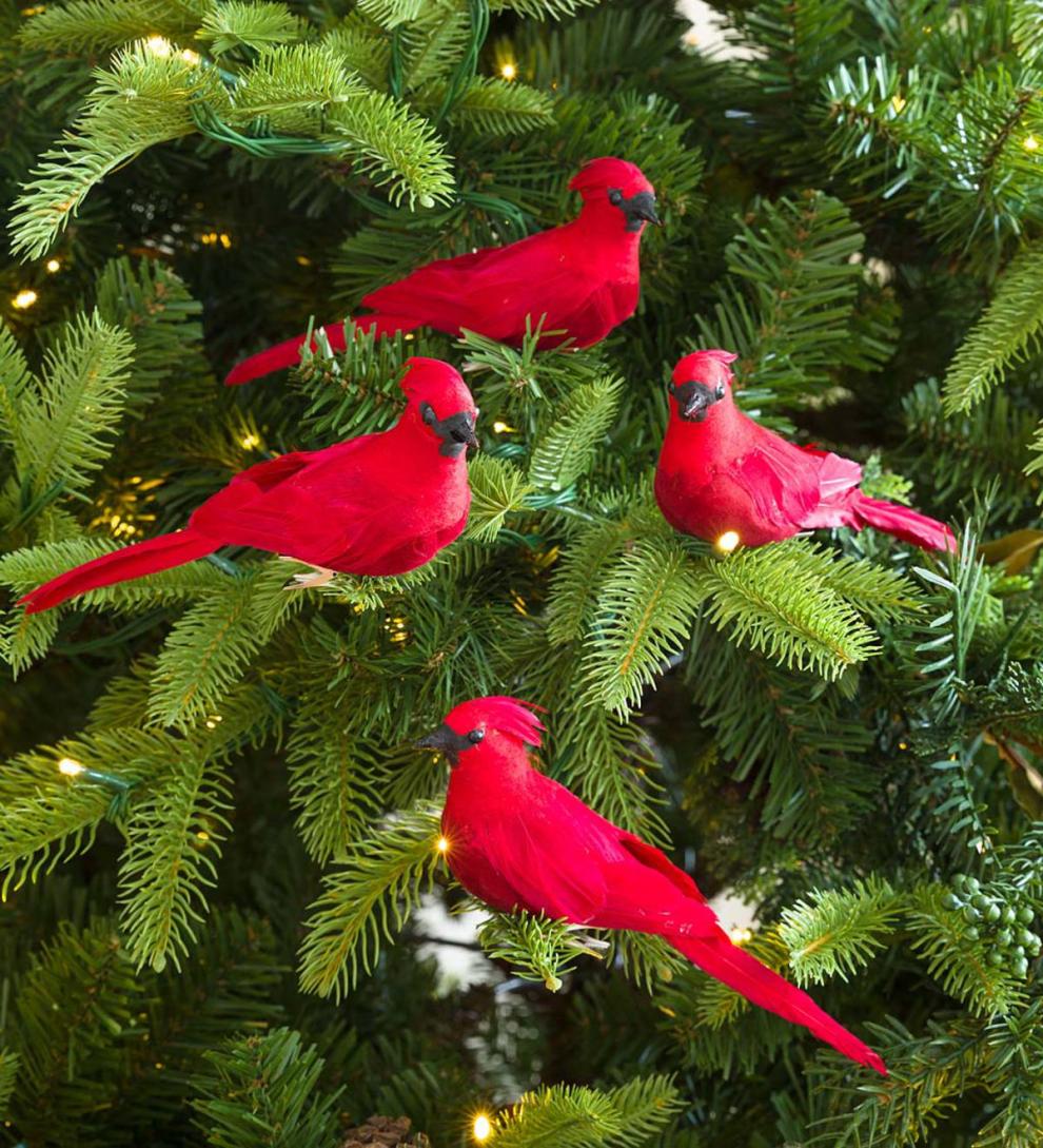Plow &amp; Hearth Garden Accents | Indoor Living Clip-On Cardinal Christmas Tree Ornaments, Set Of 4