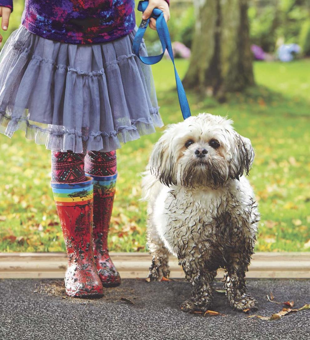 Plow &amp; Hearth Garden Accents | Indoor Living Cotton/Microfiber My Mat Dirt Trapping Mud Rug