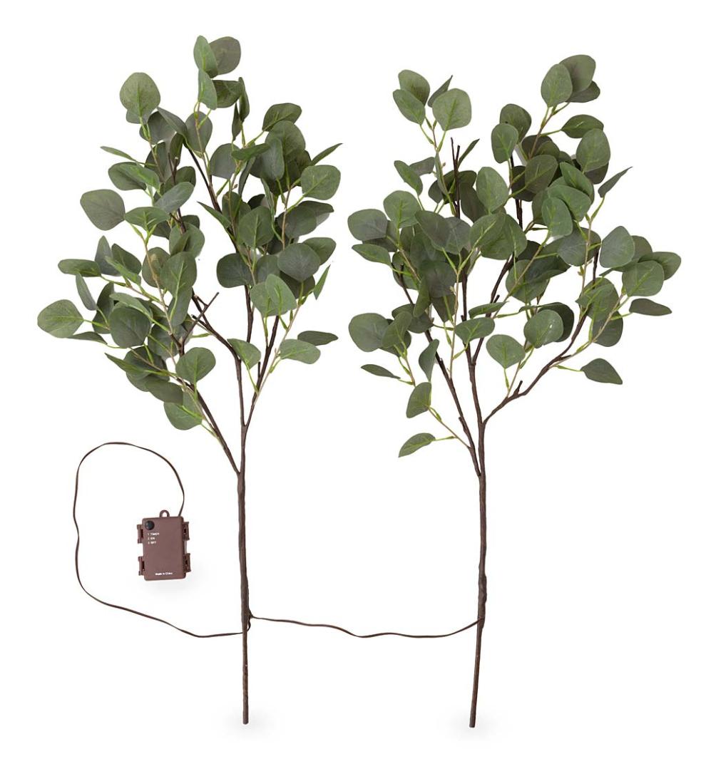 Plow &amp; Hearth Garden Accents | Indoor Living Indoor/Outdoor Battery-Operated Lighted Eucalyptus Branches, Set Of 2