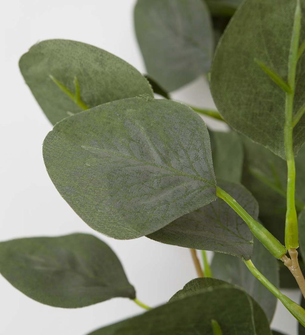 Plow &amp; Hearth Garden Accents | Indoor Living Indoor/Outdoor Battery-Operated Lighted Eucalyptus Branches, Set Of 2