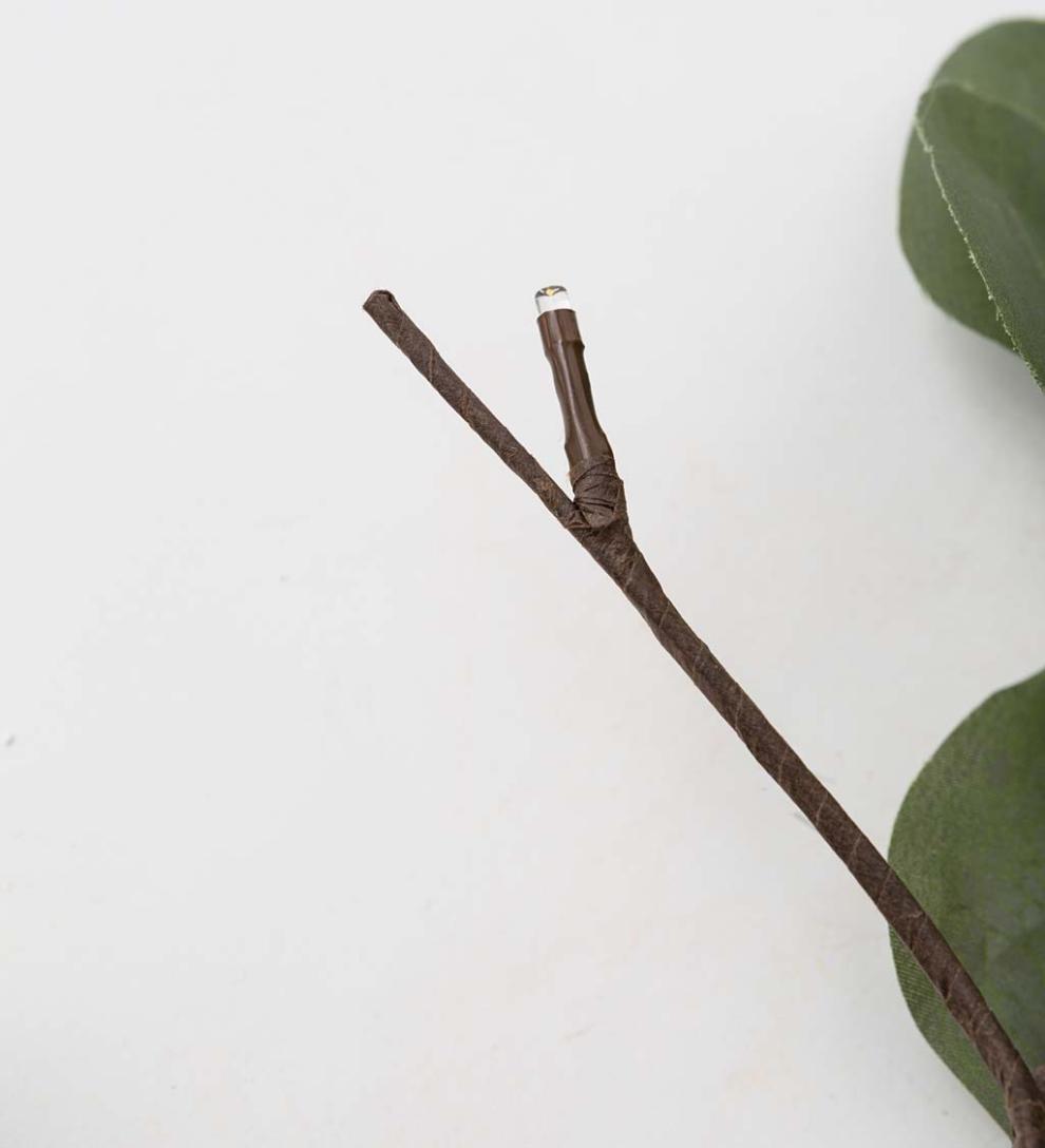 Plow &amp; Hearth Garden Accents | Indoor Living Indoor/Outdoor Battery-Operated Lighted Eucalyptus Branches, Set Of 2