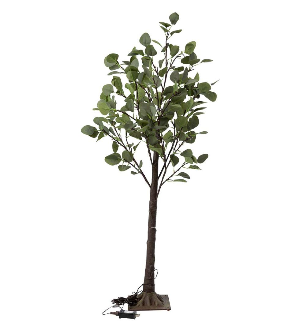 Plow &amp; Hearth Garden Accents | Indoor Living Indoor/Outdoor Electric Lighted Eucalyptus Trees