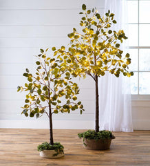 Plow &amp; Hearth Garden Accents | Indoor Living Indoor/Outdoor Electric Lighted Eucalyptus Trees