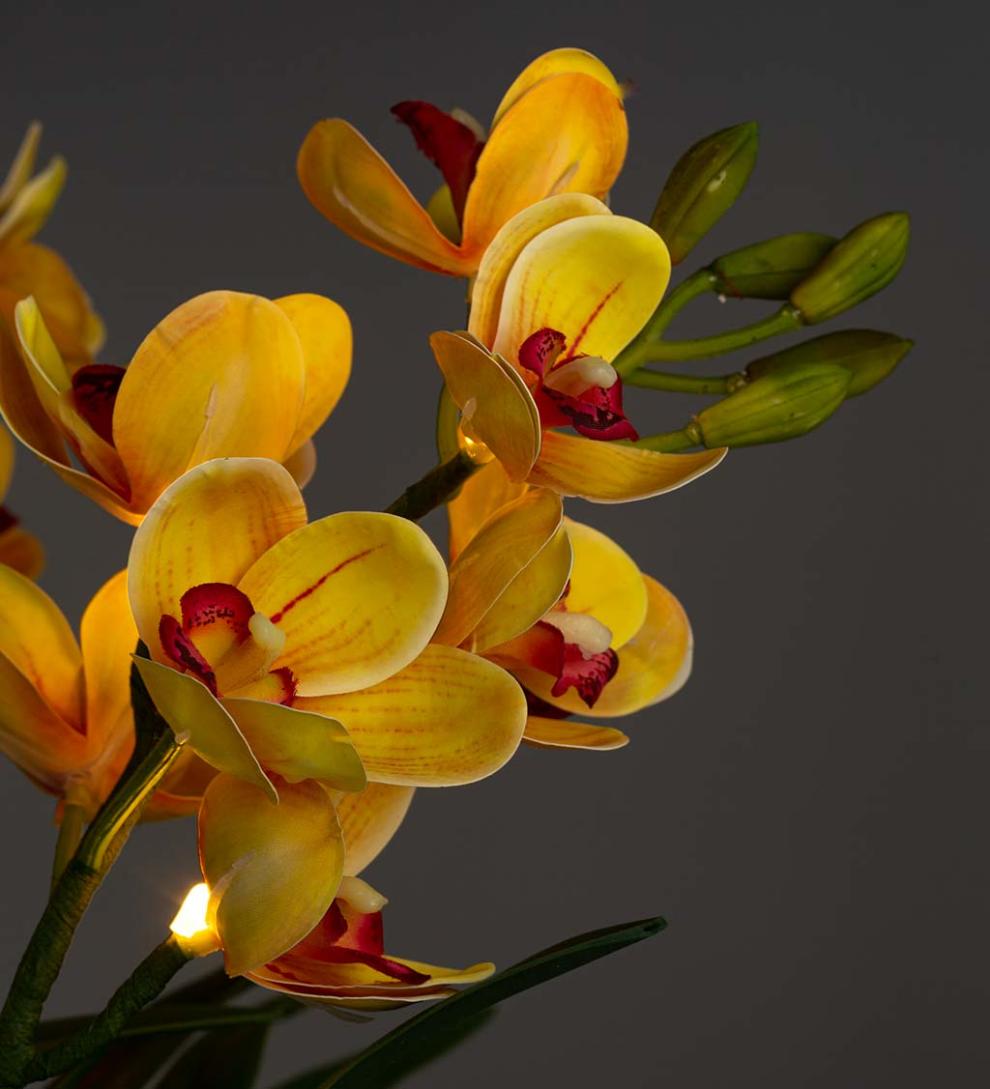 Plow &amp; Hearth Garden Accents | Indoor Living Lighted Faux Yellow Cymbidium Orchid Arrangement With Timer