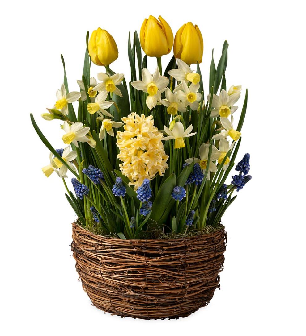 Plow &amp; Hearth Garden Accents | Indoor Living Six Months Of Spring Flower Bulb Gift Gardens