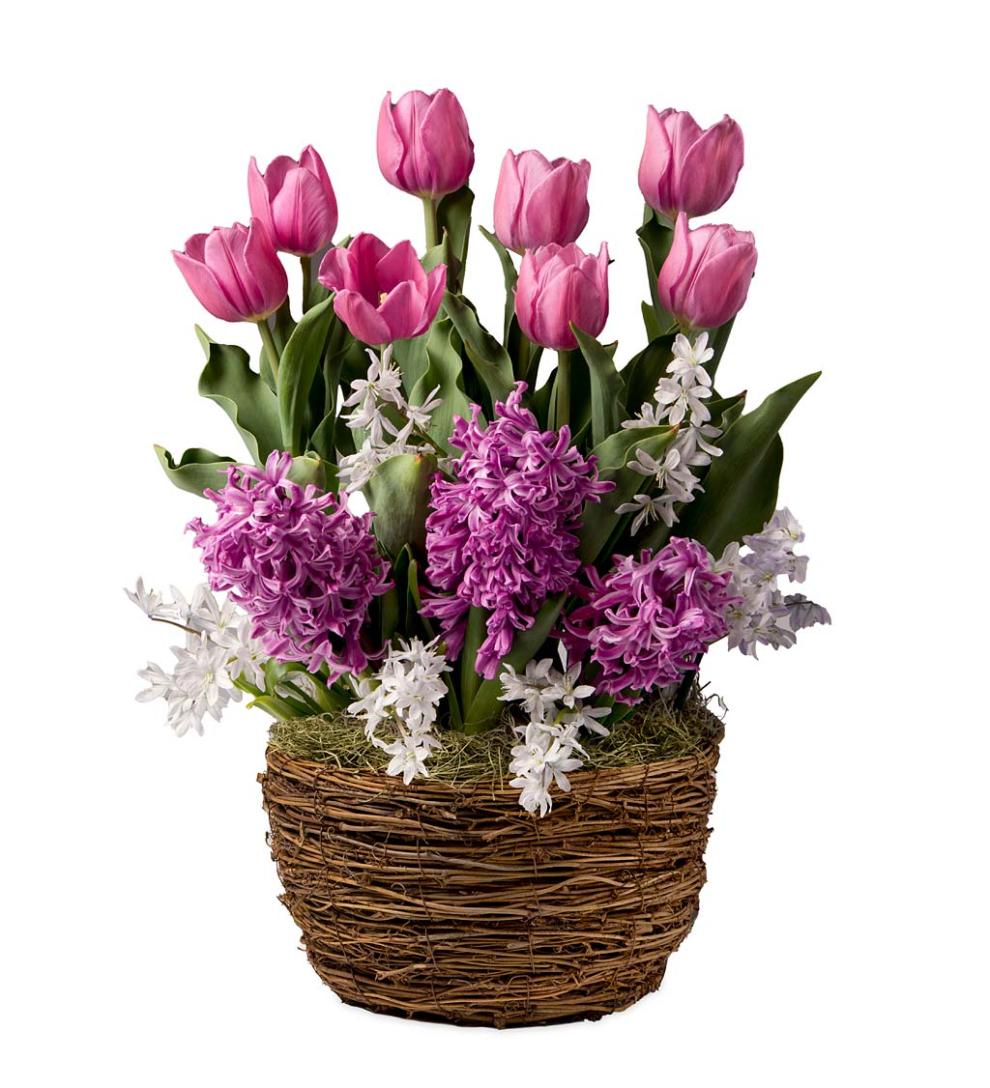 Plow &amp; Hearth Garden Accents | Indoor Living Six Months Of Spring Flower Bulb Gift Gardens