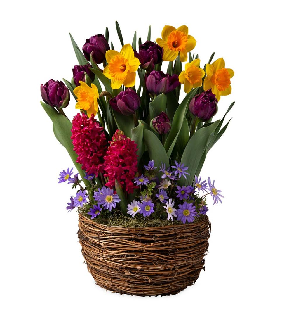 Plow &amp; Hearth Garden Accents | Indoor Living Six Months Of Spring Flower Bulb Gift Gardens