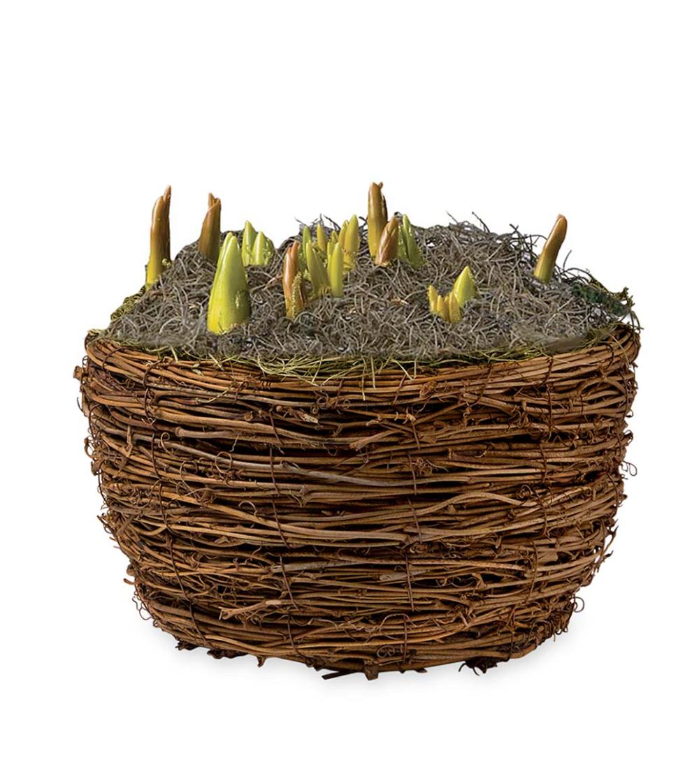 Plow &amp; Hearth Garden Accents | Indoor Living Six Months Of Spring Flower Bulb Gift Gardens