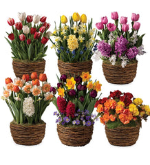 Plow &amp; Hearth Garden Accents | Indoor Living Six Months Of Spring Flower Bulb Gift Gardens