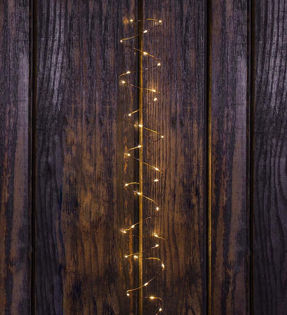 Plow &amp; Hearth Garden Accents | Indoor Living String Lights With 60 Warm White Leds On Silver Wire