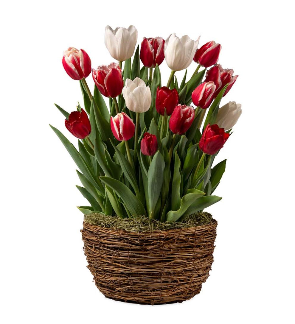 Plow &amp; Hearth Garden Accents | Indoor Living Three Months Of Spring Flower Bulb Gift Gardens