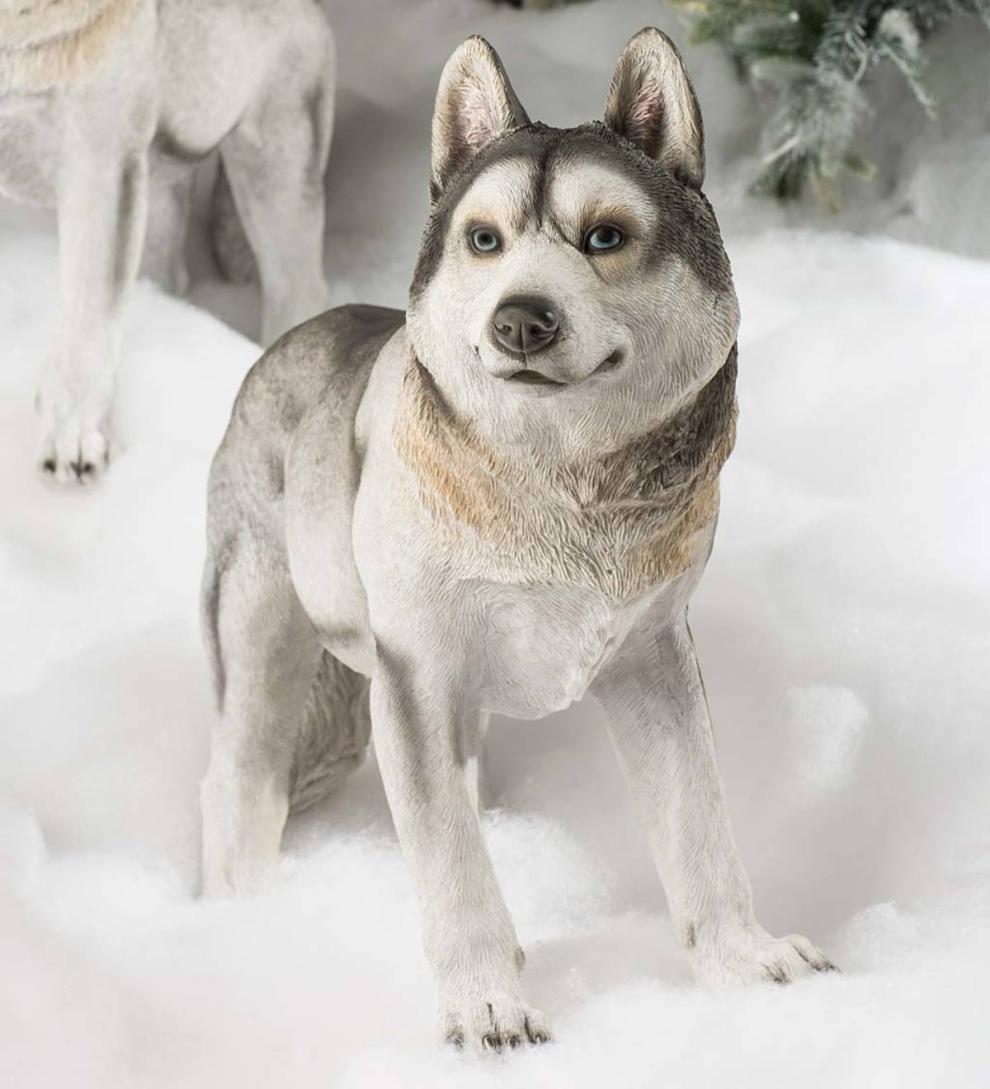 Plow &amp; Hearth Garden Accents | Yard &amp; Garden Siberian Husky Dog Statue - Looking Left