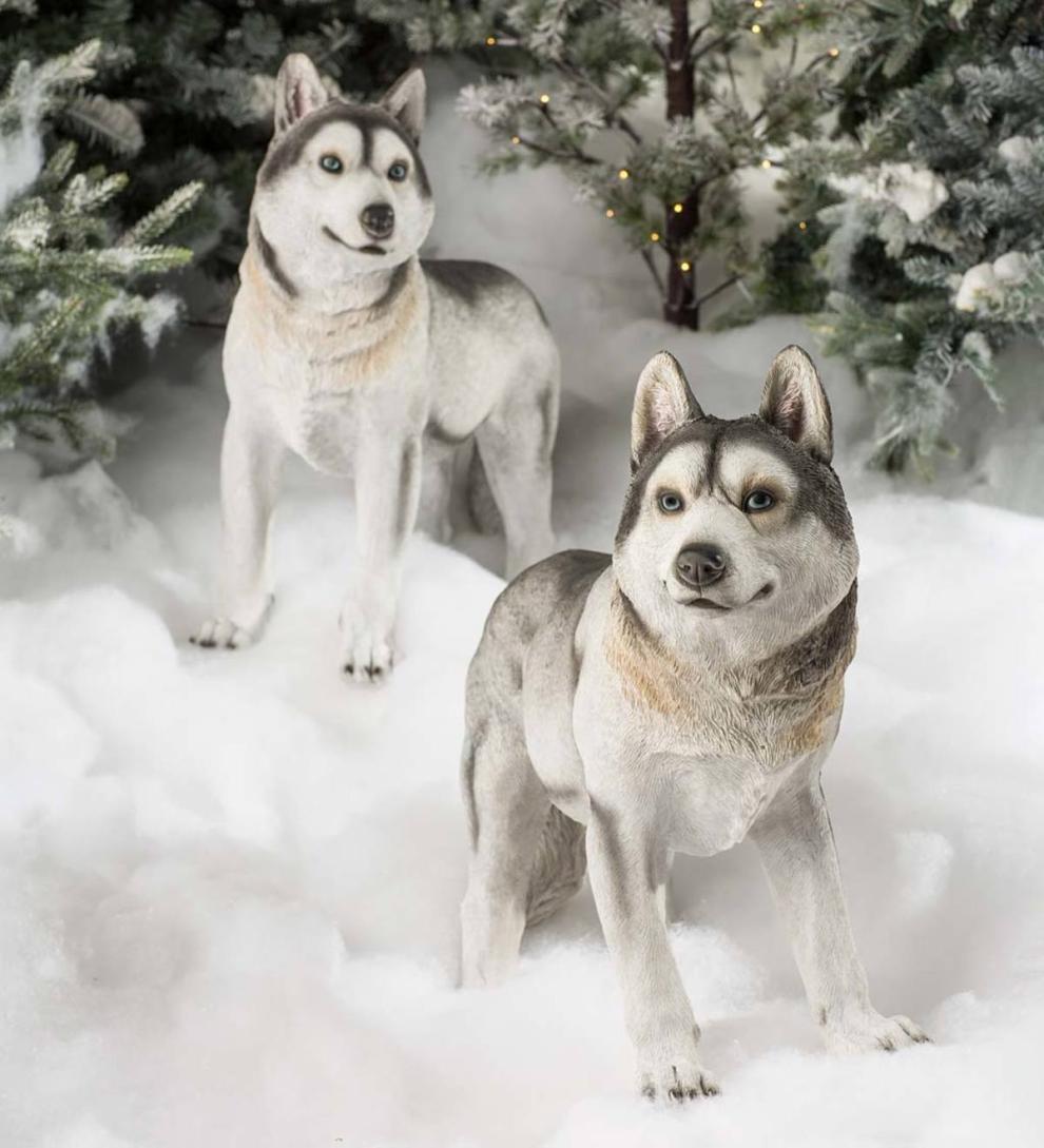 Plow &amp; Hearth Garden Accents | Yard &amp; Garden Siberian Husky Dog Statue - Looking Left