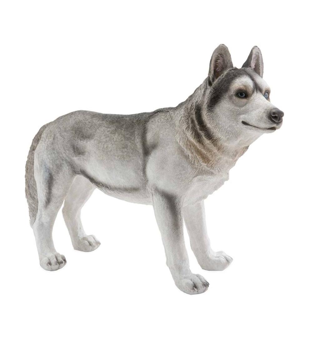 Plow &amp; Hearth Garden Accents | Yard &amp; Garden Siberian Husky Dog Statue - Looking Left