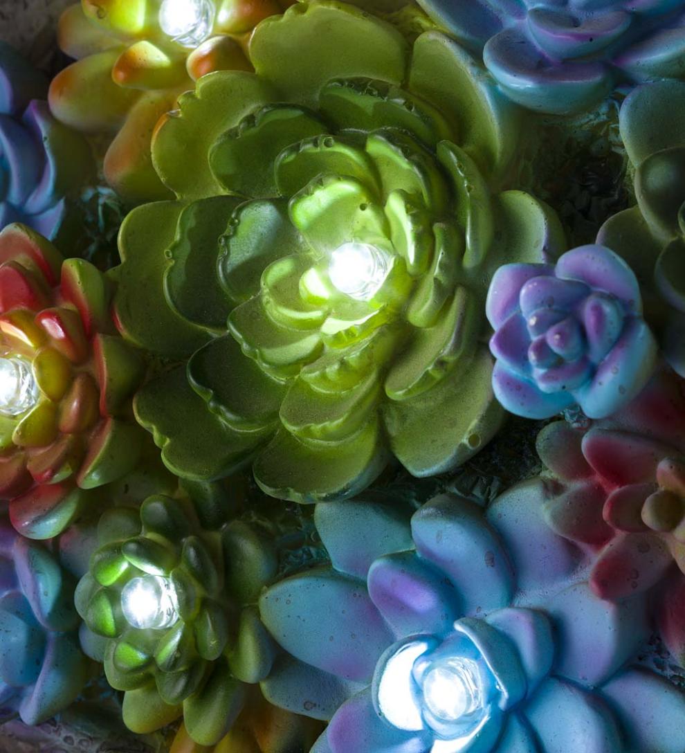 Plow &amp; Hearth Garden Accents | Yard &amp; Garden Solar Lighted Succulent Resin Animal Garden Statue - Bunny