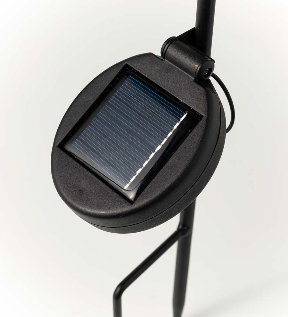 Plow &amp; Hearth Garden Accents | Yard &amp; Garden Solar Pathway Lanterns With Light Pattern, Set Of 2 - Flower