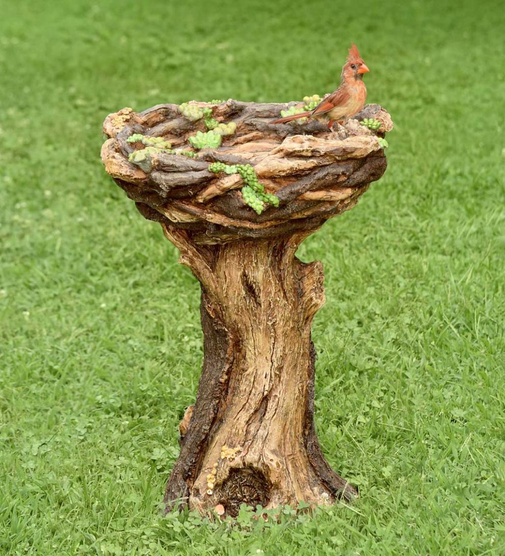 Plow &amp; Hearth Garden Accents | Yard &amp; Garden Succulent Bird Nest Tree Stump Birdbath