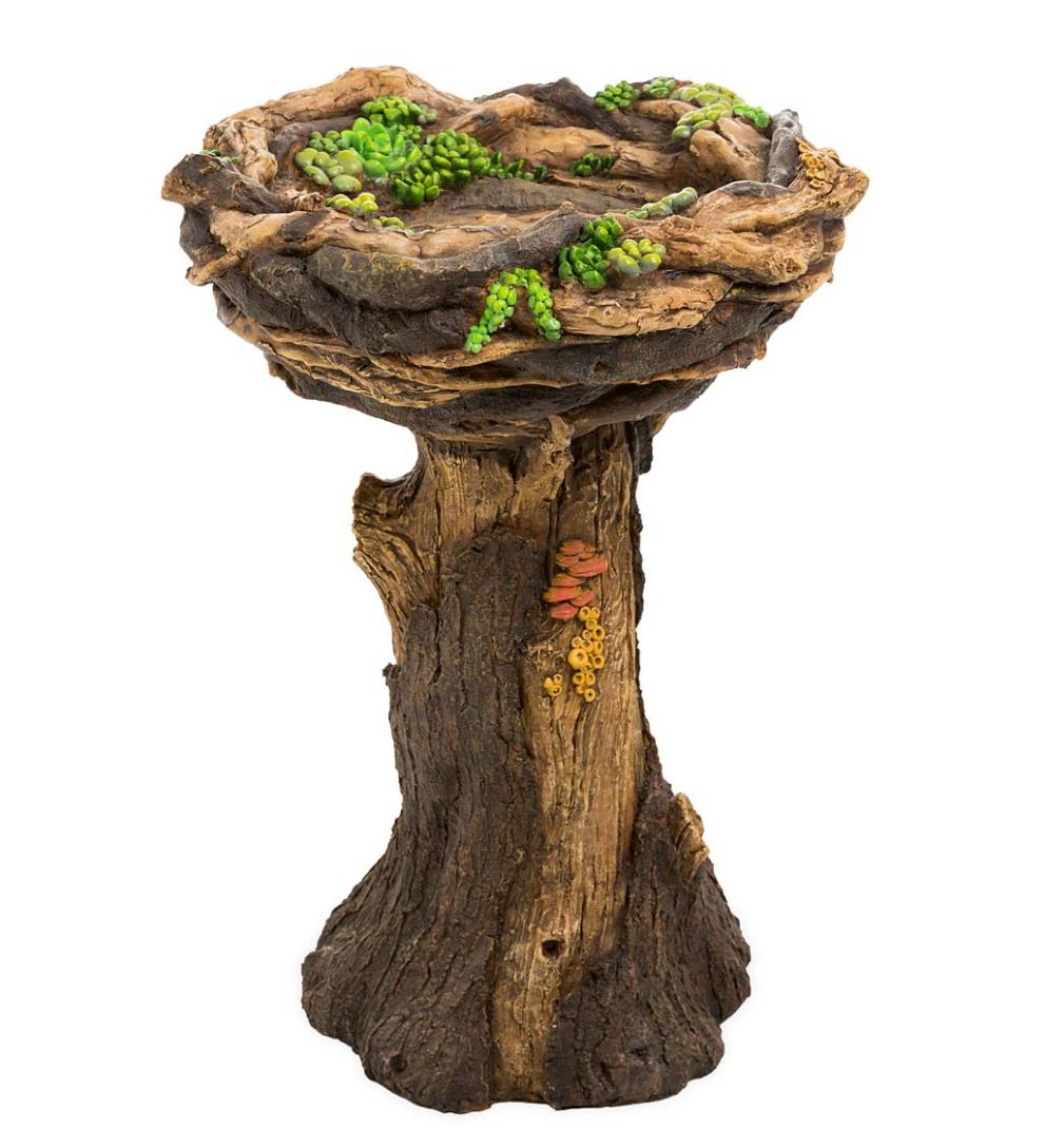 Plow &amp; Hearth Garden Accents | Yard &amp; Garden Succulent Bird Nest Tree Stump Birdbath