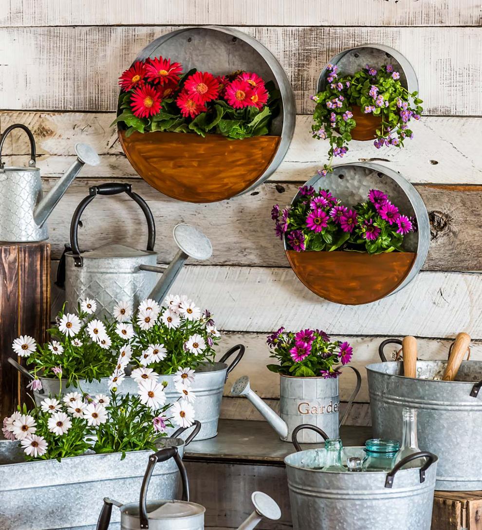 Plow &amp; Hearth Home Accents | Indoor Living Galvanized Metal Round Wall Planter