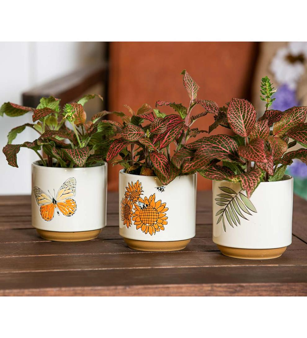 Plow &amp; Hearth Home Accents | Indoor Living Harvest Ceramic Cachepots, Set Of 3