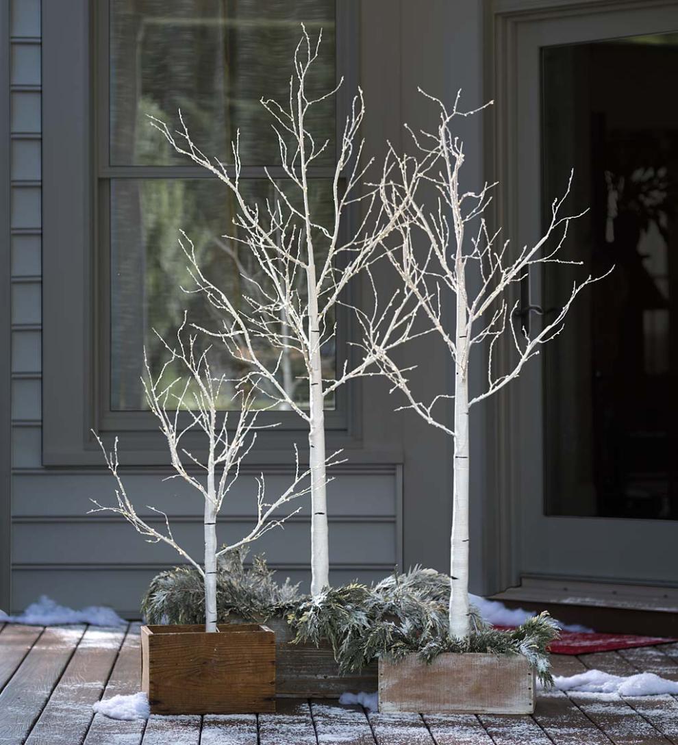 Plow &amp; Hearth Home Accents | Indoor Living Indoor/Outdoor Birch Tree With Micro Lights
