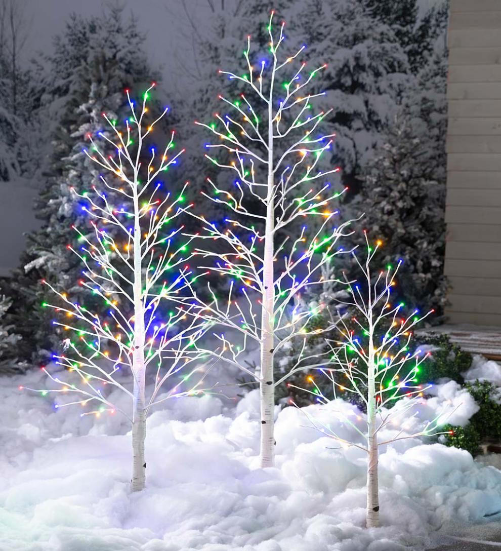 Plow &amp; Hearth Home Accents | Indoor Living Indoor/Outdoor Birch Tree With Warm White And Multicolor Lights