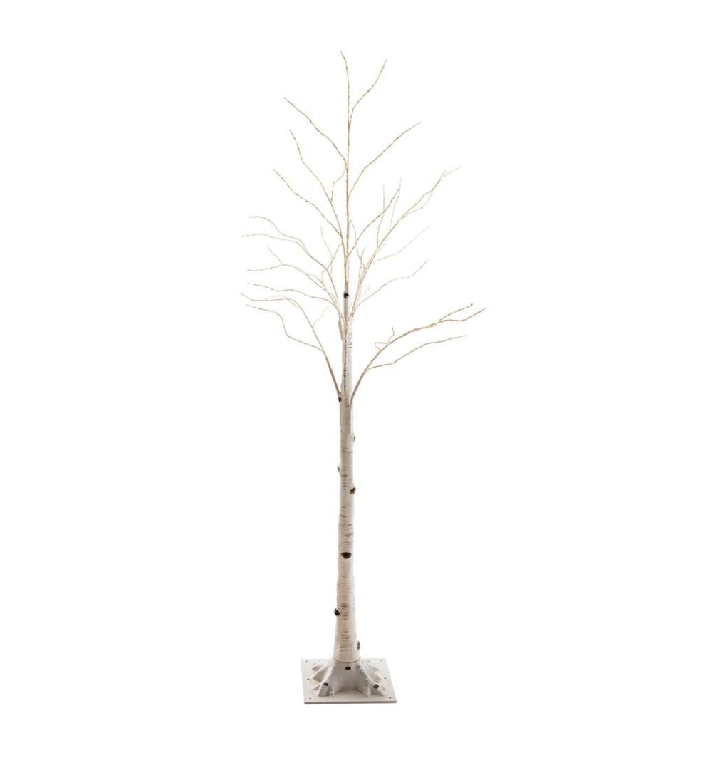 Plow &amp; Hearth Home Accents | Indoor Living Indoor/Outdoor Birch Tree With Warm White And Multicolor Lights