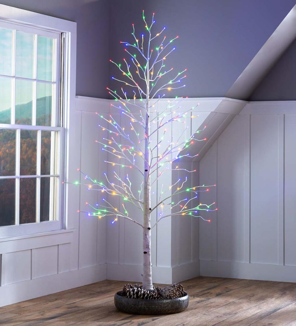 Plow &amp; Hearth Home Accents | Indoor Living Indoor/Outdoor Birch Tree With Warm White And Multicolor Lights