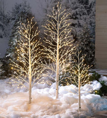 Plow &amp; Hearth Home Accents | Indoor Living Indoor/Outdoor Birch Tree With Warm White And Multicolor Lights