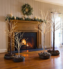 Plow &amp; Hearth Home Accents | Indoor Living Indoor/Outdoor Birch Tree With Warm White Lights