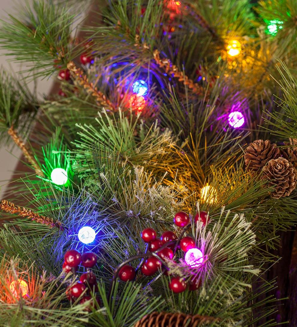 Plow &amp; Hearth Home Accents | Indoor Living Indoor/Outdoor Blue Ridge Hanging Basket With Battery-Operated Dual-Function Lights