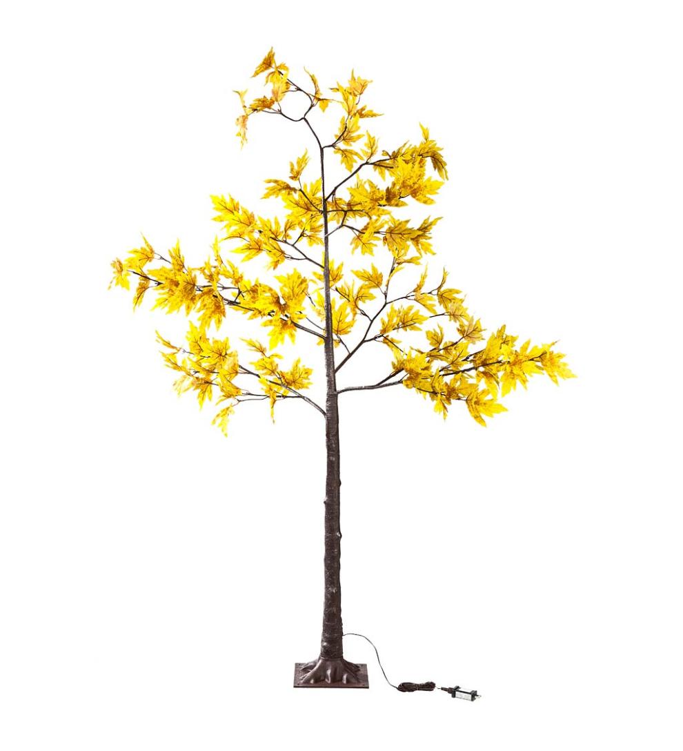 Plow &amp; Hearth Home Accents | Indoor Living Indoor/Outdoor Electric Lighted Golden Sugar Maple Trees
