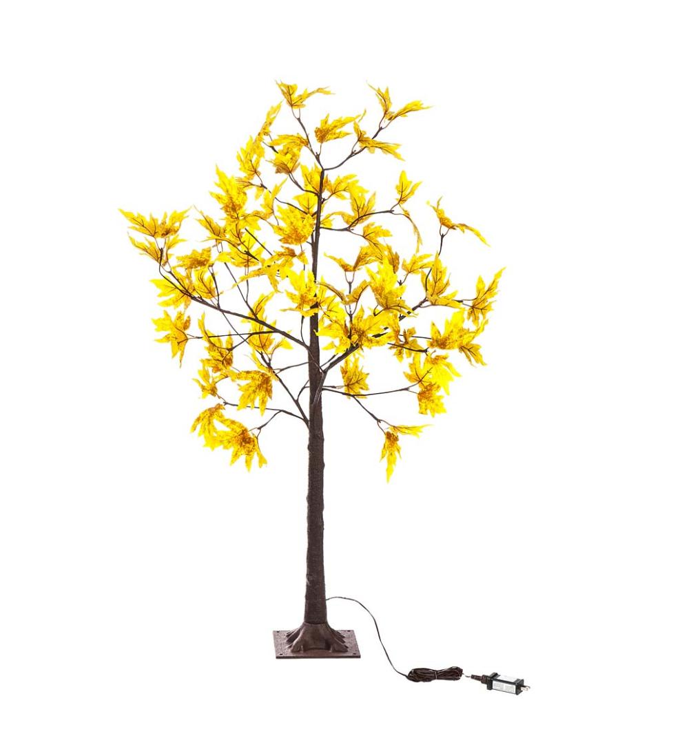 Plow &amp; Hearth Home Accents | Indoor Living Indoor/Outdoor Electric Lighted Golden Sugar Maple Trees