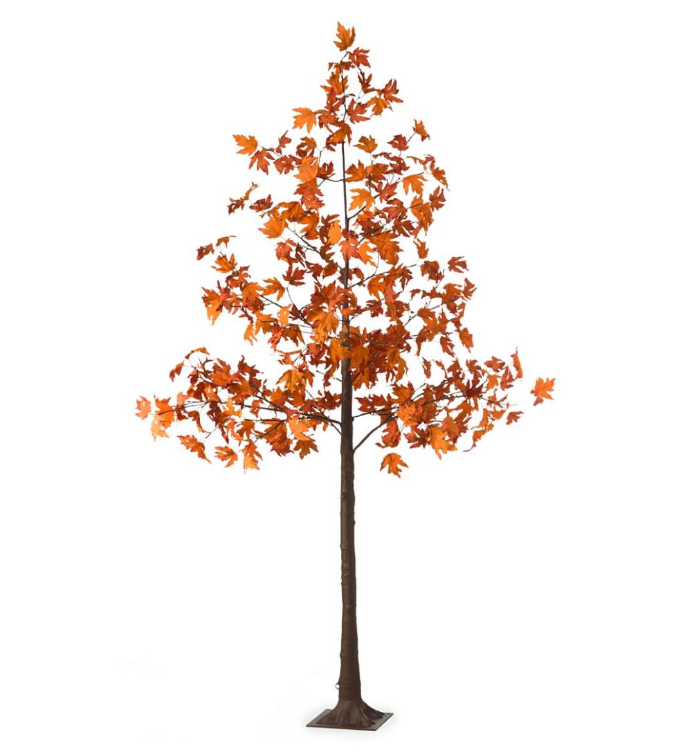 Plow &amp; Hearth Home Accents | Indoor Living Indoor/Outdoor Electric Lighted Maple Trees