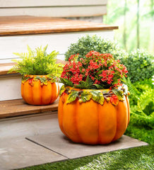 Plow &amp; Hearth Home Accents | Indoor Living Indoor/Outdoor Pumpkin Planters, Set Of 2