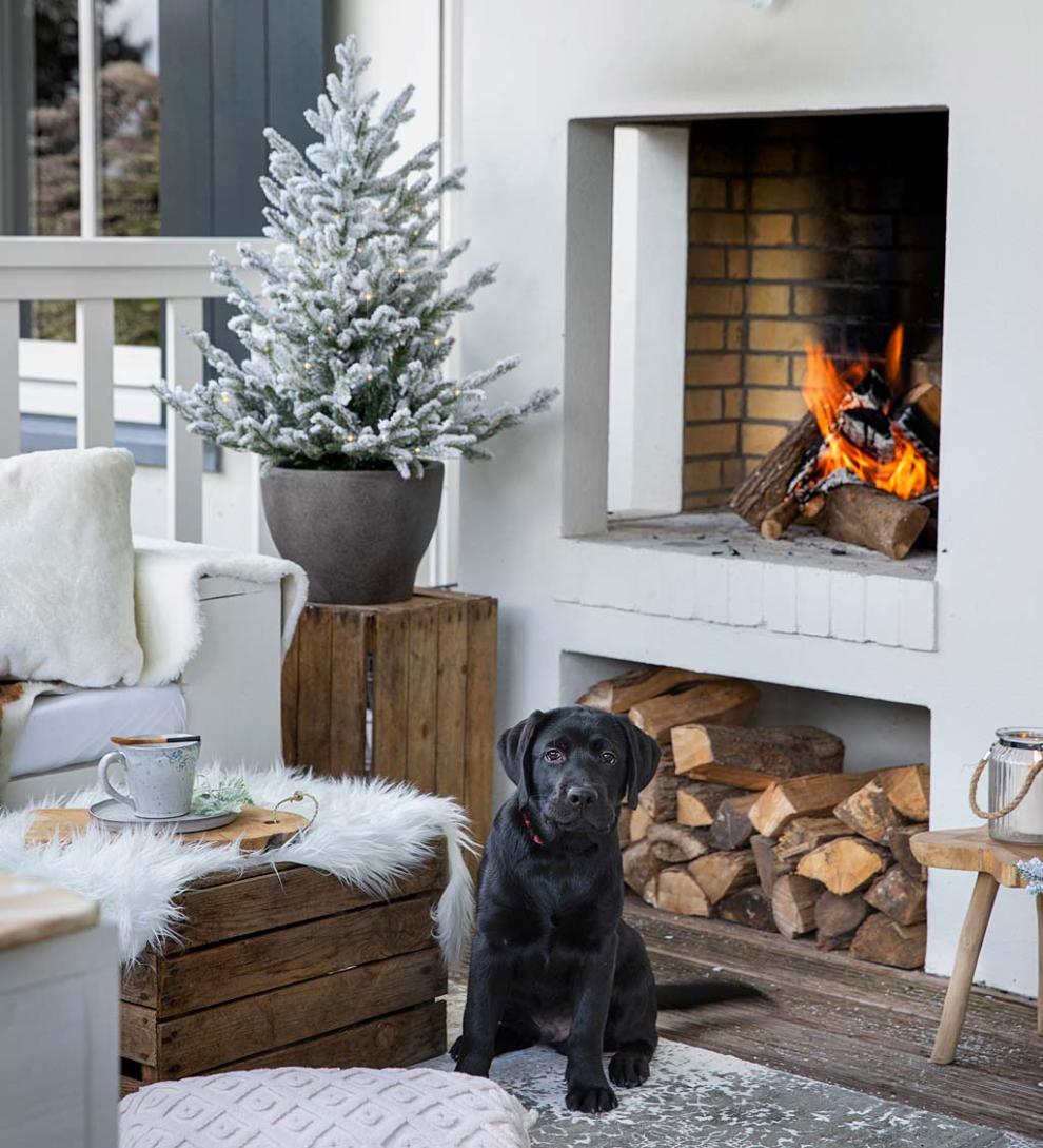 Plow &amp; Hearth Home Accents | Indoor Living Lighted Potted Snow-Dusted Norway Spruce