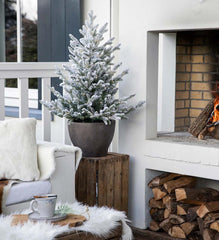 Plow &amp; Hearth Home Accents | Indoor Living Lighted Potted Snow-Dusted Norway Spruce