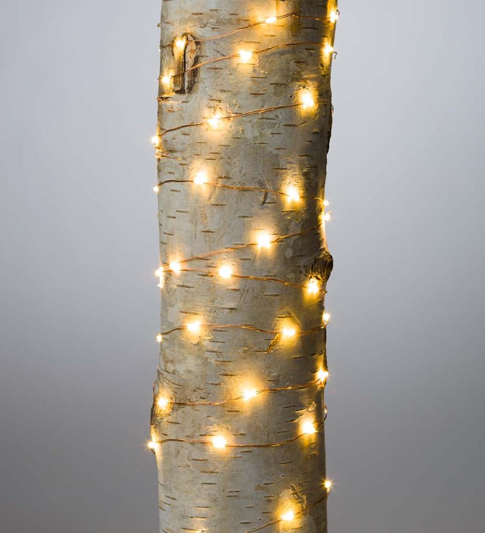 Plow &amp; Hearth Home Accents | Indoor Living Multifunction Twinkle String Lights With 50 Micro Leds