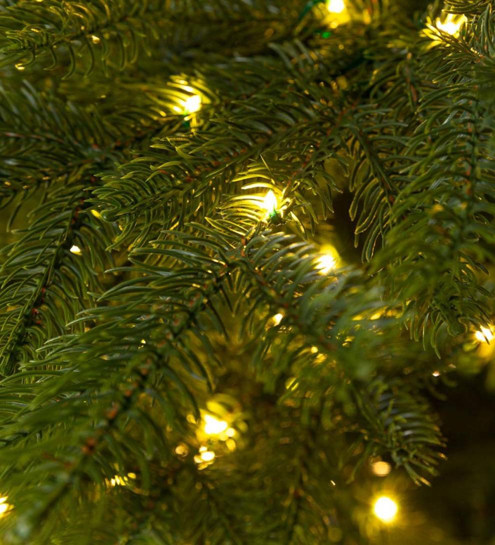 Plow &amp; Hearth Home Accents | Indoor Living Pre-Lit Arlberg Fir Christmas Tree With Eight Light Functions