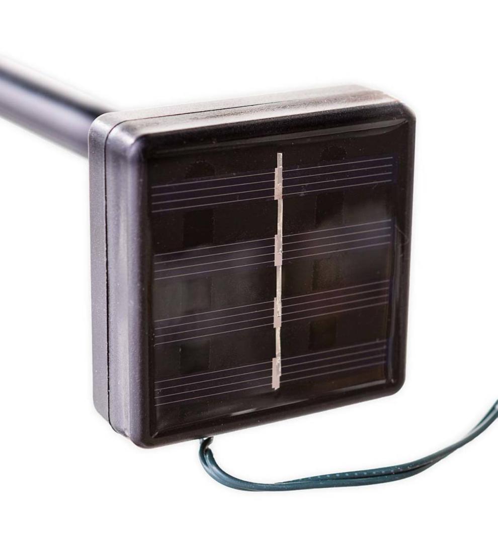 Plow &amp; Hearth Home Accents | Indoor Living Solar Star-Shaped String Lights