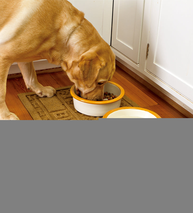 Plow &amp; Hearth Home Accents | Indoor Living Waterhog® Personalized Pet Mat - Charcoal