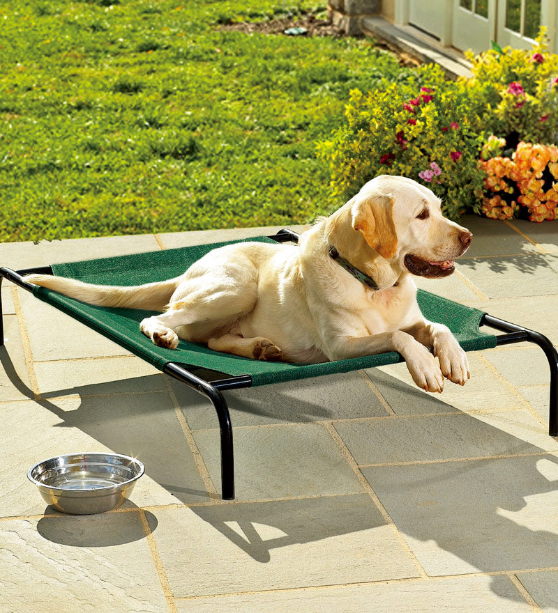 Plow &amp; Hearth Home Accents | Indoor Living Weather-Resistant Raised Mesh Pet Bed And Replacement Mesh Covers