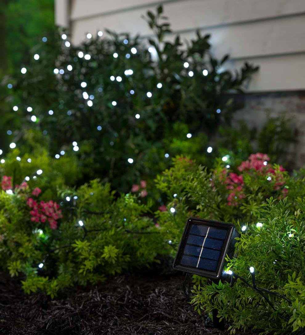 Plow &amp; Hearth Home Accents | Indoor Living White Led Solar String Lights