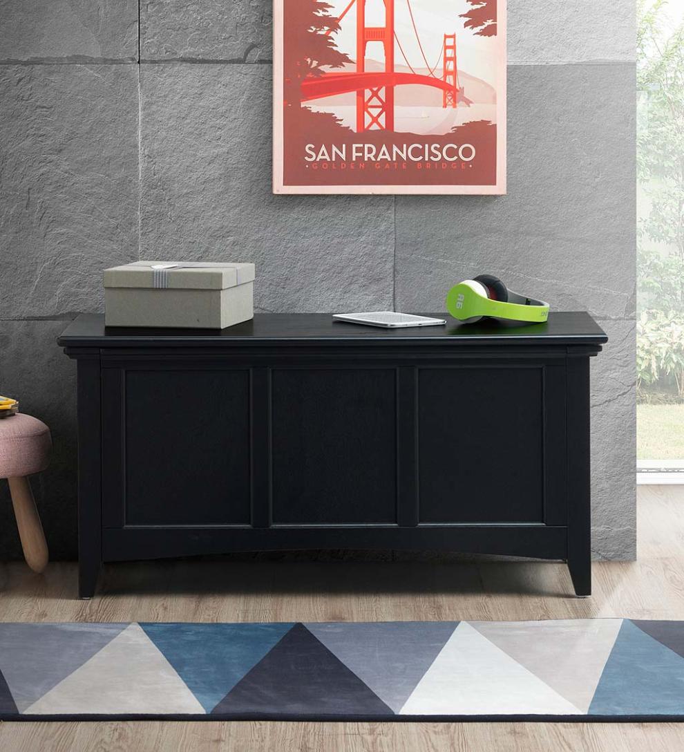 Plow &amp; Hearth Home Office | Indoor Living Hinged Paneled Storage Chest/Console - Antique Black