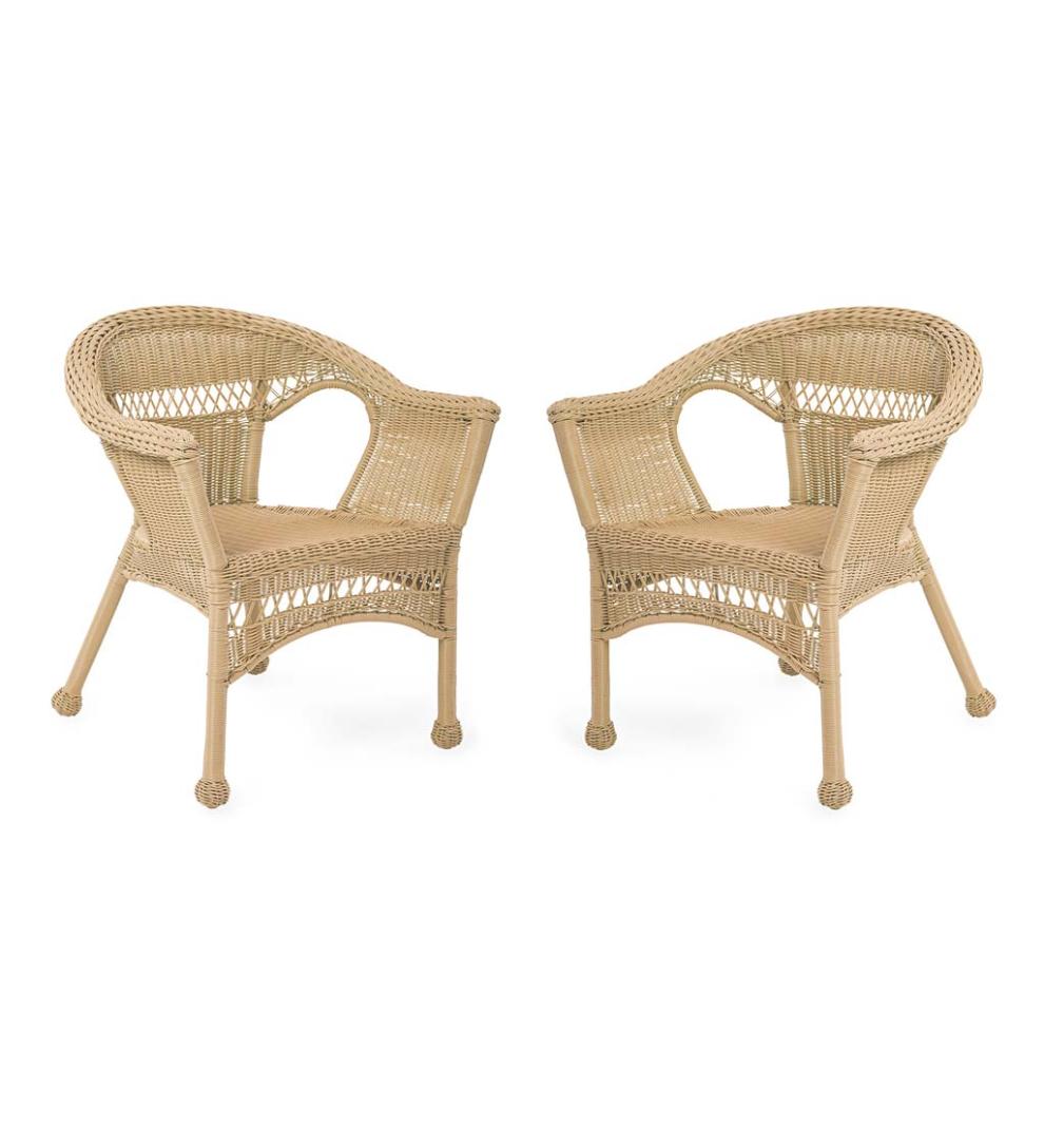 Plow &amp; Hearth Outdoor Wicker | Outdoor Living Easy Care Resin Wicker Chairs, Set Of 2 - Black