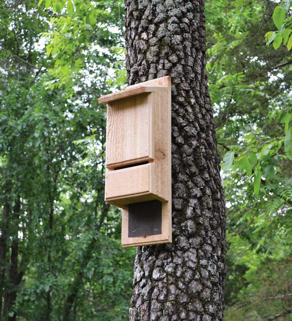 Plow &amp; Hearth Wildlife Housing | Yard &amp; Garden Red Cedar Mini Bat Tower
